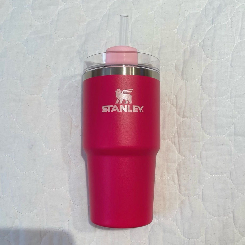 Stanley 20 oz Stainless Steel Cup